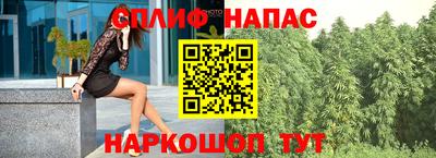 не бодяженный Моздок