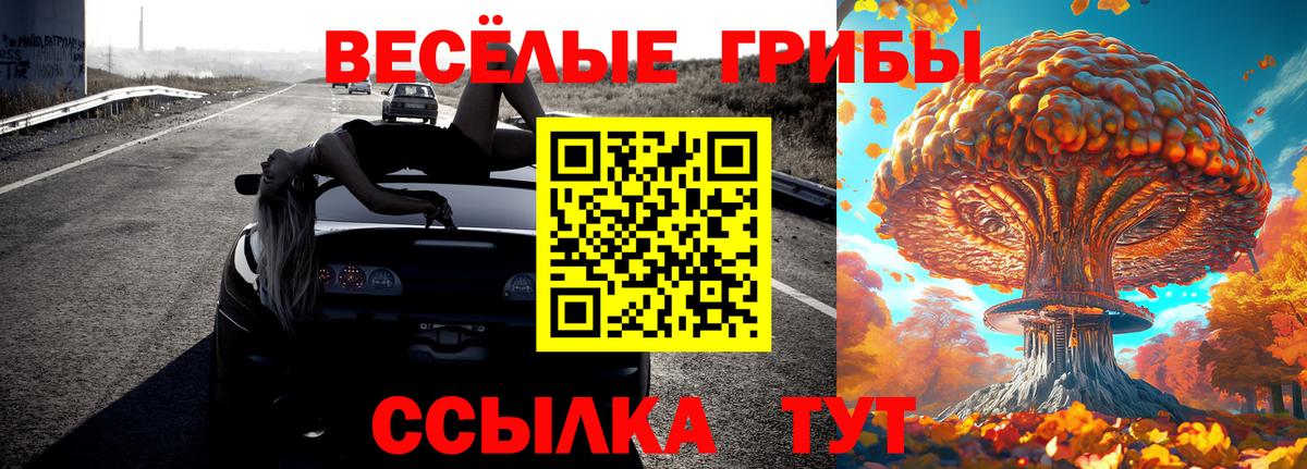 Галлюциногенные грибы мухоморы  Вход с VPN  Северск  Псилоцибиновые грибы Cubensis 